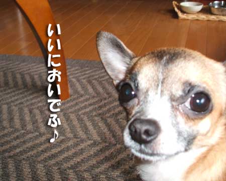 c0019050_21421975.jpg