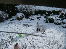 e0051353_017469.jpg