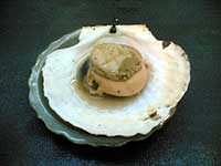 d0054855_22582386.jpg