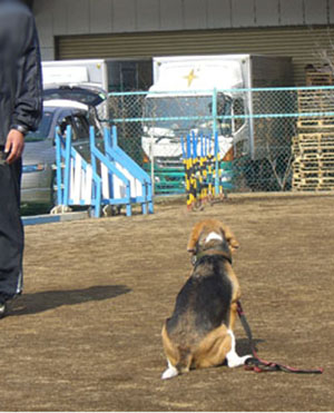 e0007060_18355757.jpg