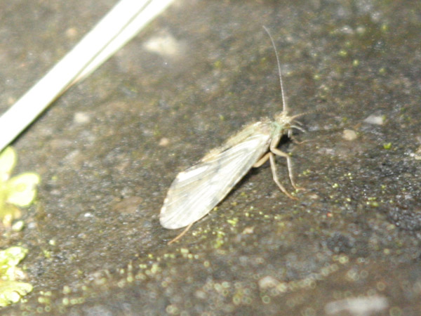 b0032262_2345241.jpg