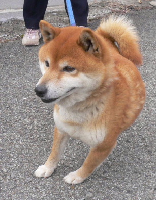 a0063364_2163970.jpg