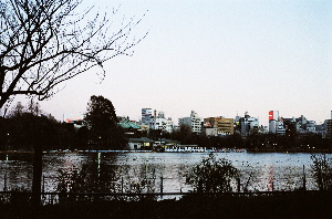 b0046664_0131466.jpg