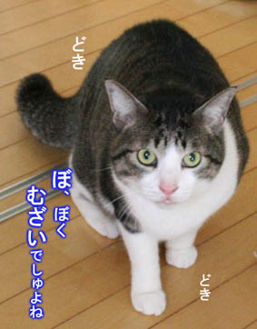 a0055567_2237879.jpg