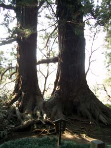 e0034068_23461726.jpg