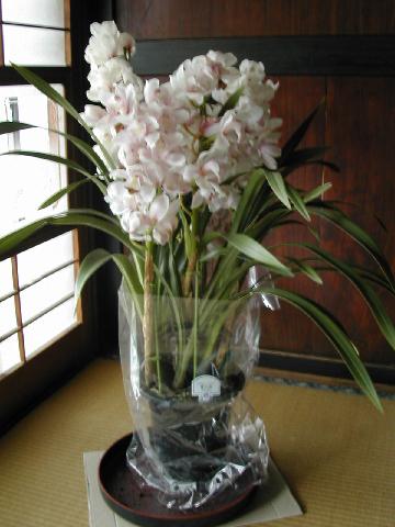 b0032079_23243662.jpg