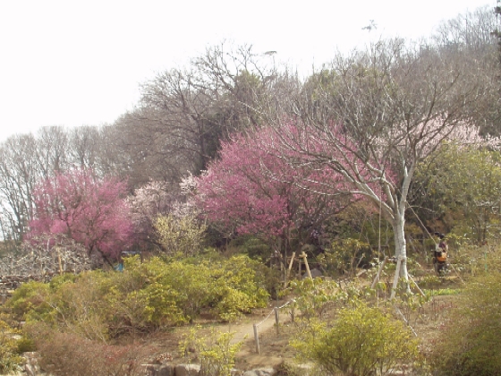 f0018790_23122972.jpg