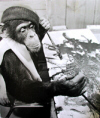 c0075492_166233.jpg