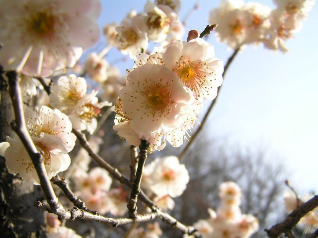 c0034595_23333974.jpg