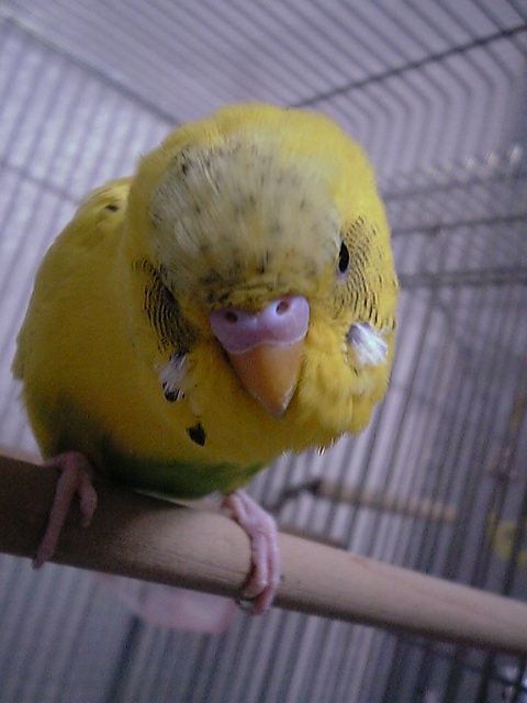 c0071200_0552337.jpg