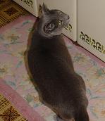 c0066610_22145550.jpg