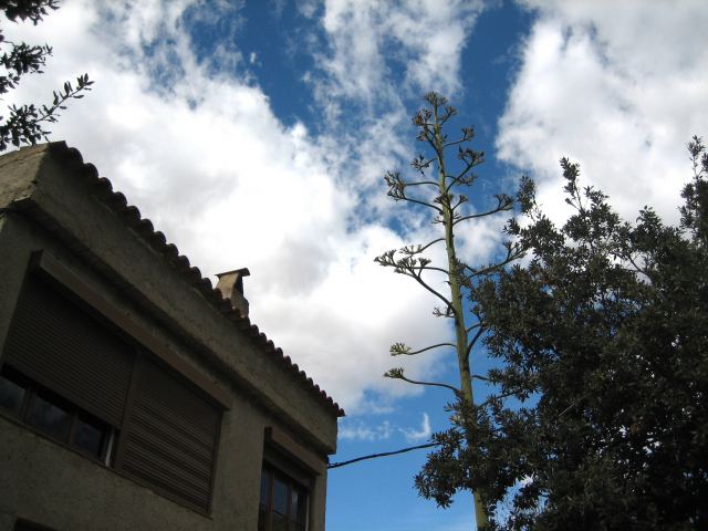 b0064411_20305141.jpg