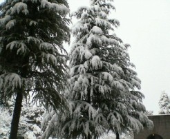 c0035012_23223119.jpg