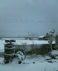 c0035012_23231551.jpg