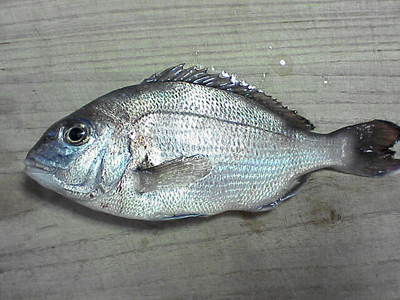 f0060214_14411732.jpg