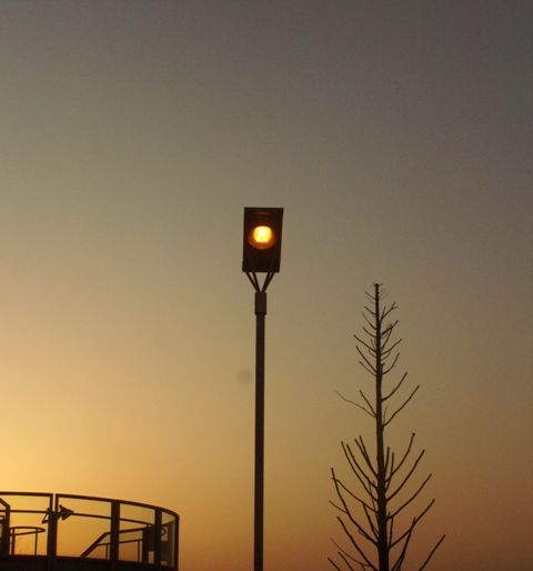f0005823_22413226.jpg