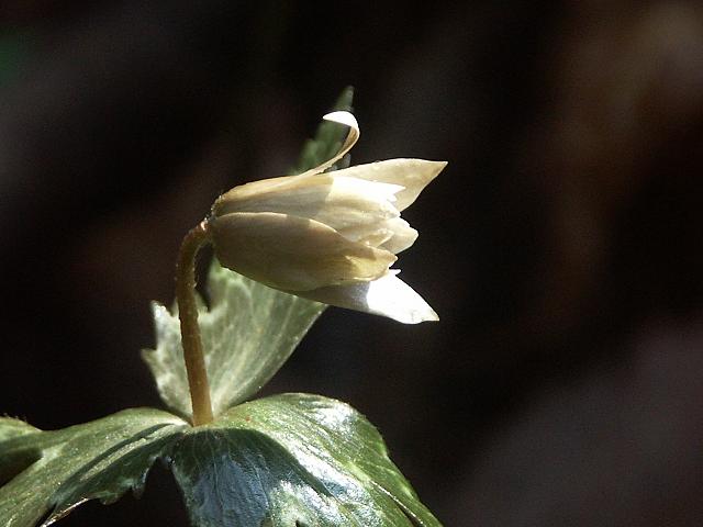b0039226_13502079.jpg