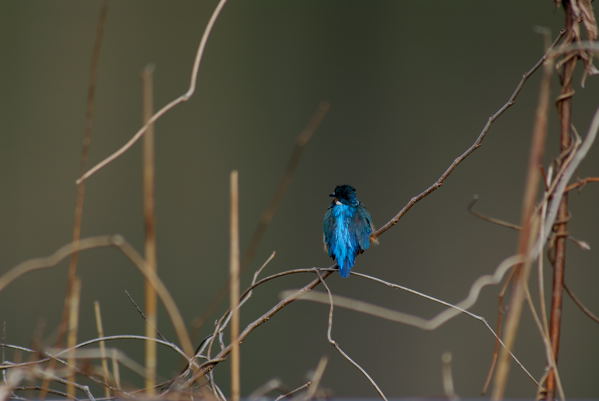 b0036743_21512075.jpg