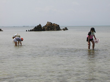 d0065247_2284447.jpg