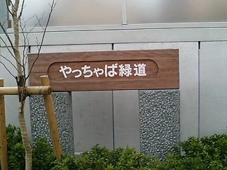 b0015148_20595623.jpg