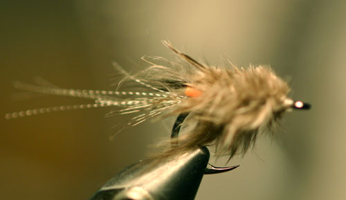 b0042548_0254539.jpg