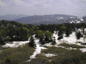 e0029553_22471919.jpg