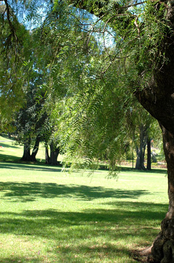 f0089353_2228840.jpg
