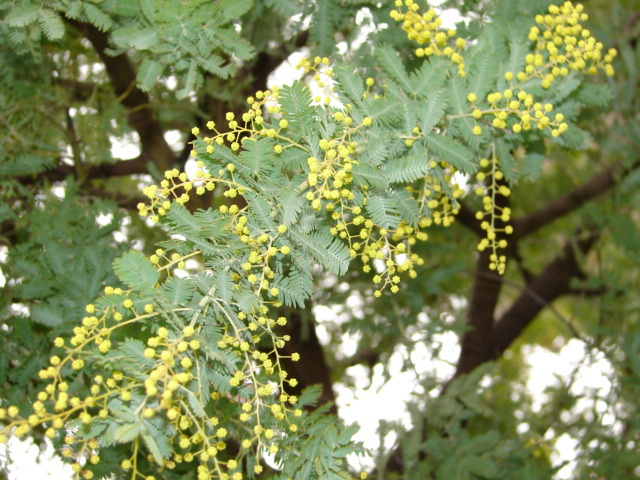 b0061261_18312277.jpg
