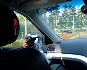 c0012571_1610978.gif