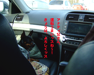 c0012571_1691696.gif