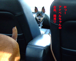 c0012571_1693569.gif