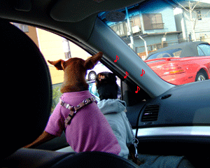 c0012571_1695580.gif