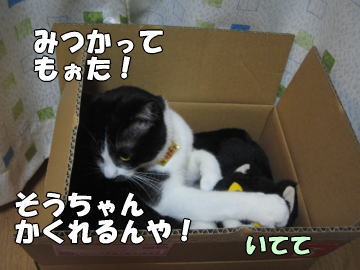 b0041182_01455.jpg