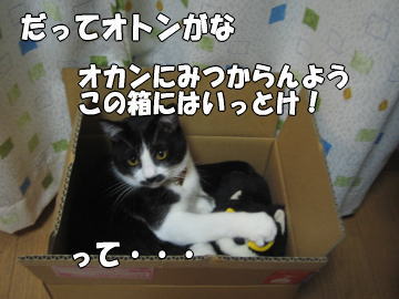 b0041182_015430.jpg