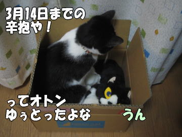 b0041182_026665.jpg