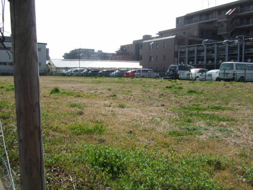 c0075585_1311319.jpg