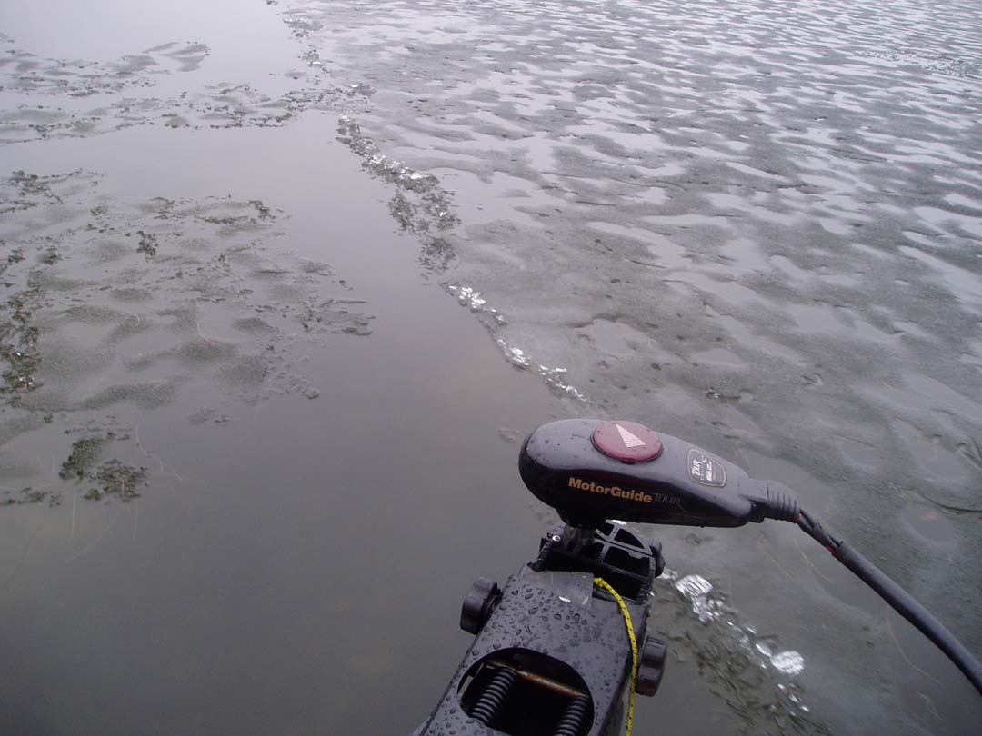f0024887_1442587.jpg