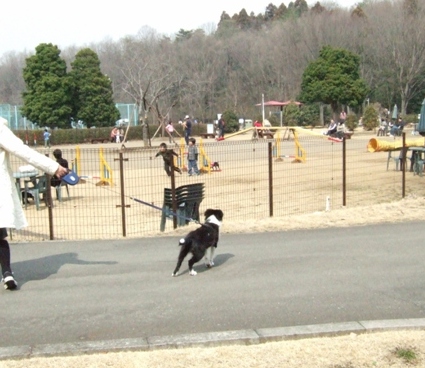 f0054290_2281551.jpg
