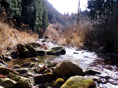 a0043395_1744741.jpg