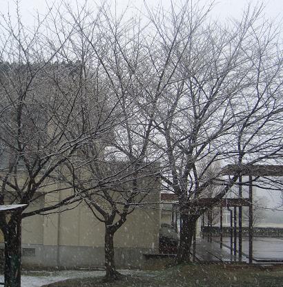 a0042798_2218524.jpg
