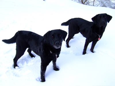 f0001698_0235221.jpg