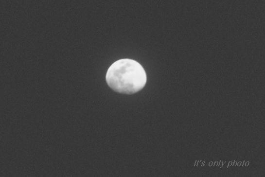 e0008800_0281959.jpg