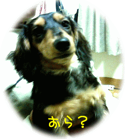 b0044804_145463.gif