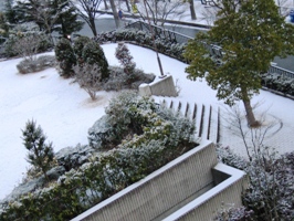 d0003606_11225593.jpg
