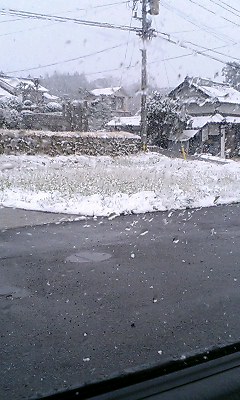 c0012810_11572895.jpg