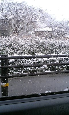 c0012810_12245623.jpg