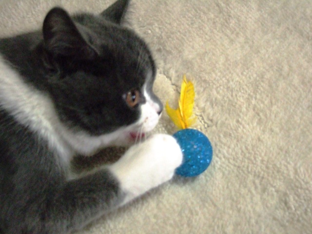 f0032020_141417100.jpg