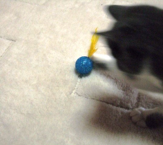 f0032020_14173316.jpg