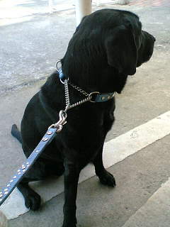 f0011022_17403953.jpg