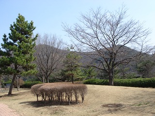 d0023323_23143040.jpg